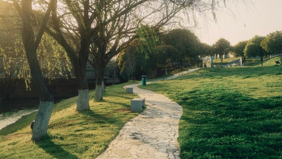 O Advogado de Deus: o que o filme mostra sobre vidas passadas (e o que é real na terapia)